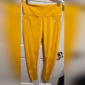 Gym   Shark    Dry  Leggings   Size   M